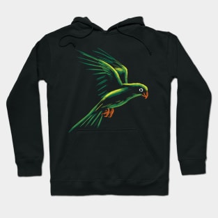 Parrot fly Hoodie